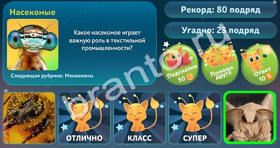 игра 5 вопросов обо всём помощь