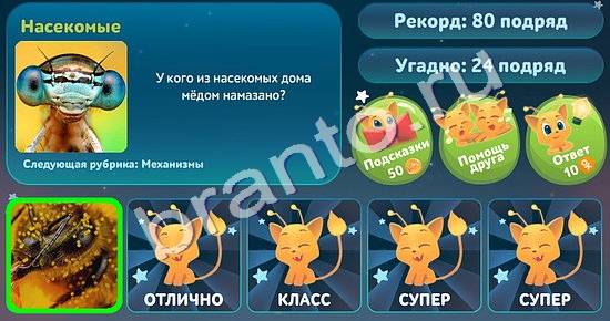 игра 5 вопросов обо всём ответ