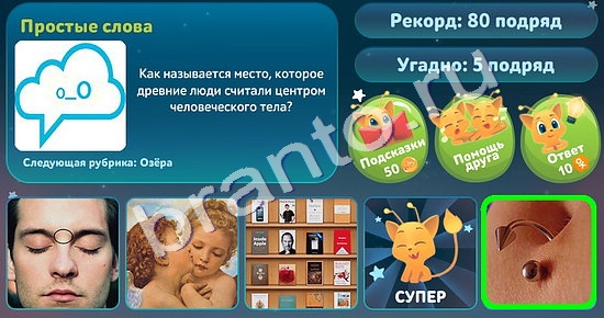 5 вопросов обо всём решения