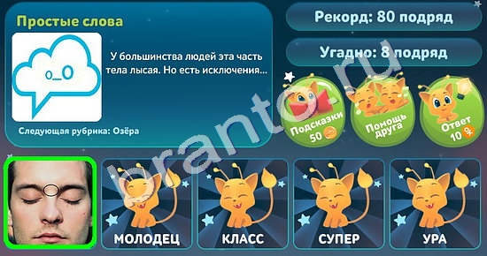 Пять вопросов обо всём игра помощь