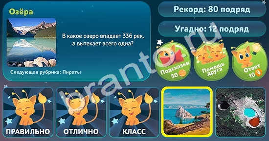 игра 5 вопросов обо всём помощь