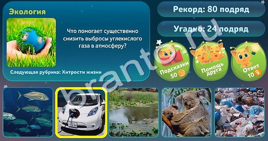 решебник на игру 5 вопросов обо всём Уровень 63