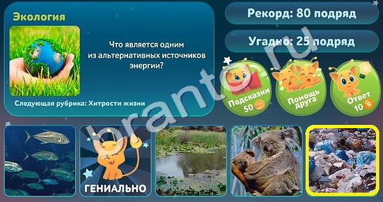 5 вопросов обо всём решения