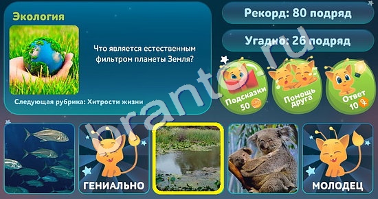 5 вопросов обо всём игра ответы