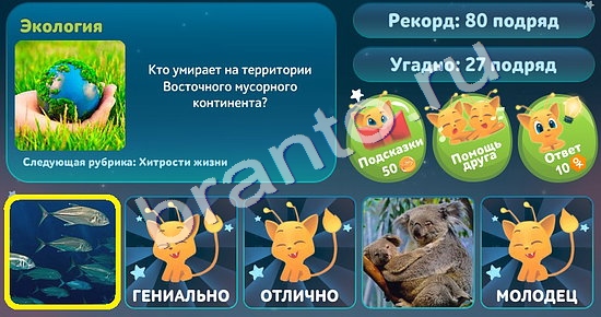 5 вопросов обо всём игра подсказки