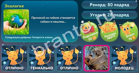 Пять вопросов обо всём игра помощь