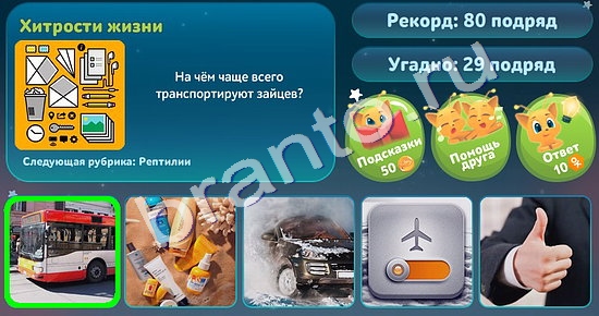 5 вопросов обо всём ответы в картинках Уровень 64