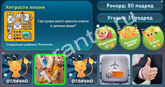 Игра 5 вопросов обо всём подсказки