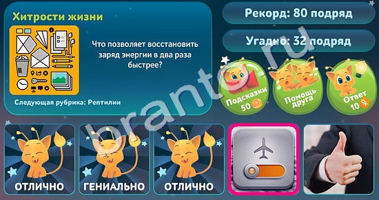 игра 5 вопросов обо всём помощь