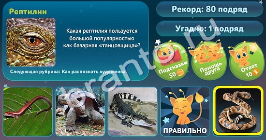 Подсказки на игру 5 вопросов обо всём