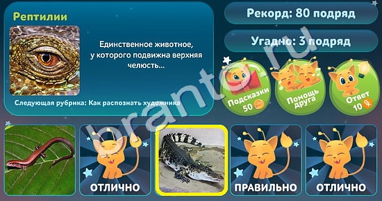 Помощь на игру ВК 5 вопросов обо всём