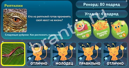 ответы к игре Пять вопросов обо всем