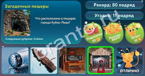 5 вопросов обо всём решения