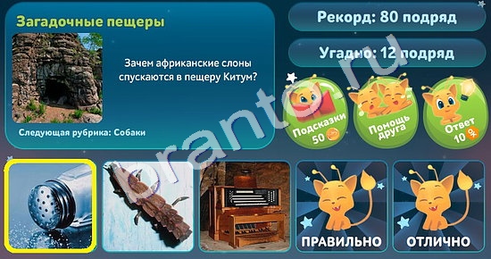 5 вопросов обо всём игра ответы