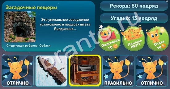 5 вопросов обо всём игра подсказки