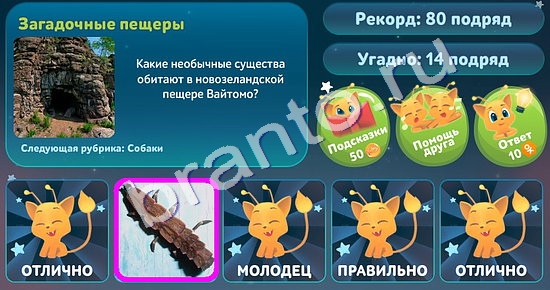 Пять вопросов обо всём игра помощь