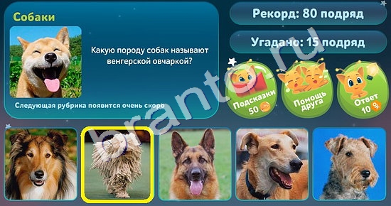 5 вопросов обо всём ответы в картинках Уровень 69