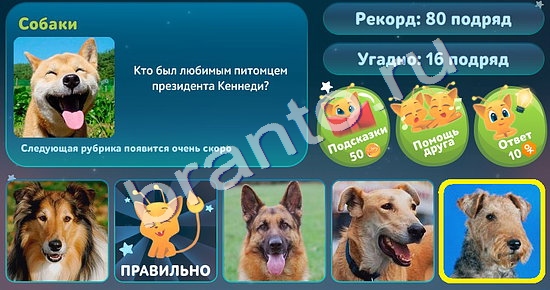 Игра Пять вопросов обо всём ответы