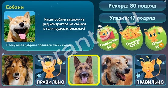 Игра 5 вопросов обо всём подсказки