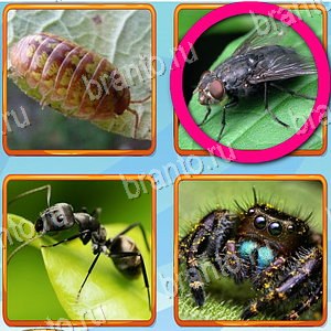 игра Что лишнее подсказки одноклассники уровень 187