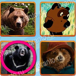 Что лишнее игра решения уровень 196