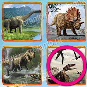 Что лишнее игра ответы Одноклассники уровень 210