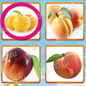 игра Что лишнее ответы в контакте уровень 216