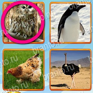 Что лишнее игра решения уровень 226