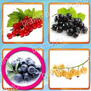 приложение Что лишнее ответы на все задания уровень 229