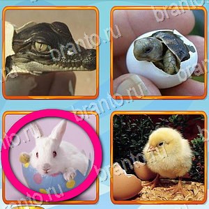 ответы на игру Что лишнее уровень 230