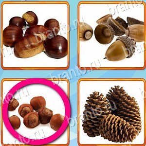 Что лишнее ответ на уровень 231