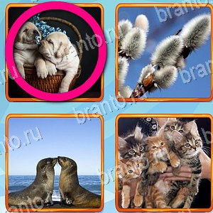 подсказки на игру Что лишнее уровень 242