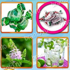 помощь на игру Что лишнее одноклассники уровень 243