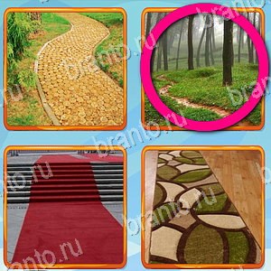 Что лишнее ответ на уровень 261