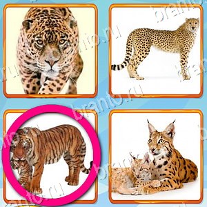 игра Что лишнее подсказки одноклассники уровень 277