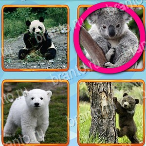 Что лишнее игра відповіді в контакте уровень 288