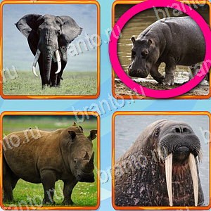 Что лишнее ответ на уровень 291