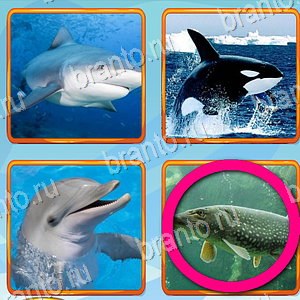 ответы на игру Что лишнее уровень 295