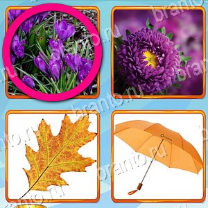 ответы на игру Что лишнее уровень 298