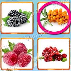 ответы на игру Что лишнее в Одноклассниках уровень 299