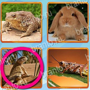 ответы на игру Доктор Одноклассники Что уровень 345