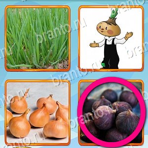 Что лишнее игра решения уровень 346