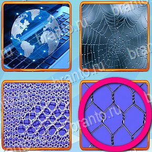 ответы на игру Что лишнее уровень 355