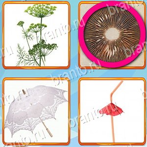 Что лишнее игра ответы Одноклассники уровень 360