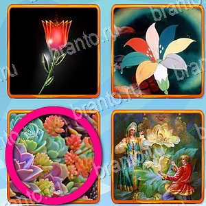 ответы на игру Что лишнее в контакте уровень 365