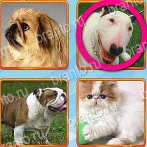 ответы на игру Что лишнее уровень 387