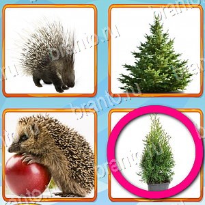 ответы на игру Что лишнее уровень 391