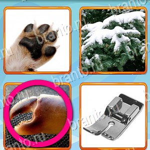 ответы на игру Что лишнее уровень 417