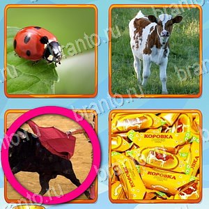 игра Что лишнее відповіді в контакте уровень 430