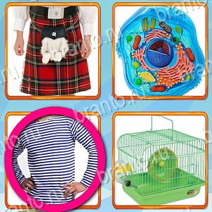 ответы на игру Что лишнее Одноклассники уровень 437